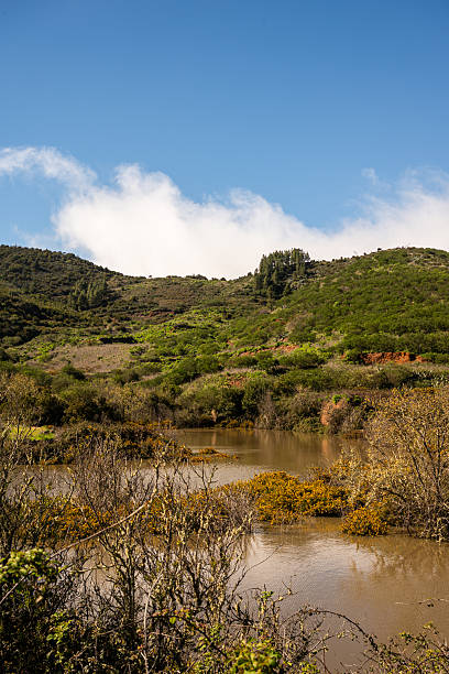 Buffalo Pond Cleaning & Water
