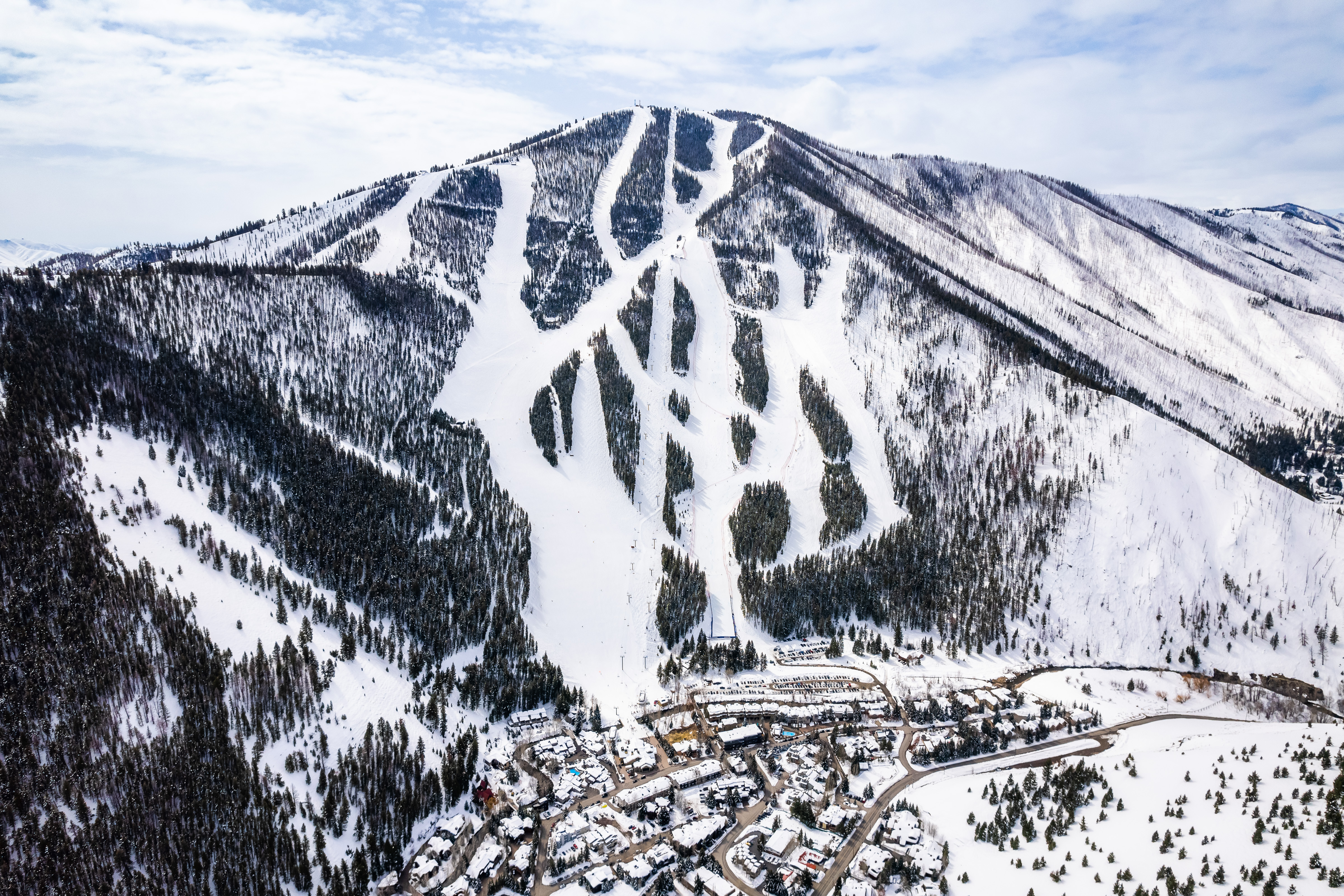 Ski run carving through pines, Warm Springs