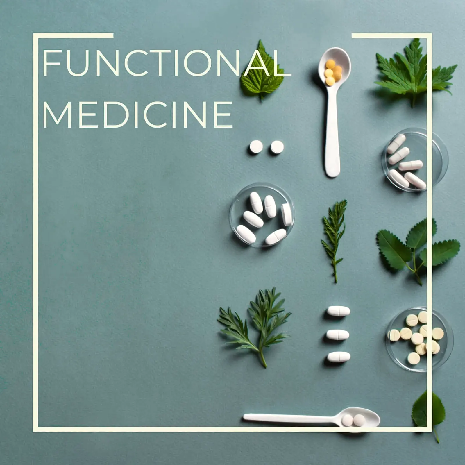 Functional medicine consultation at Arbour Longevity