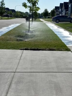  in Campton Hills, IL