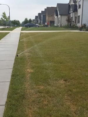 {{ custom_values.service_2 }} in {{custom_values.area_6})