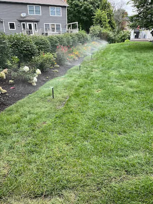 {{ custom_values.service_2 }} in {{custom_values.area_3})