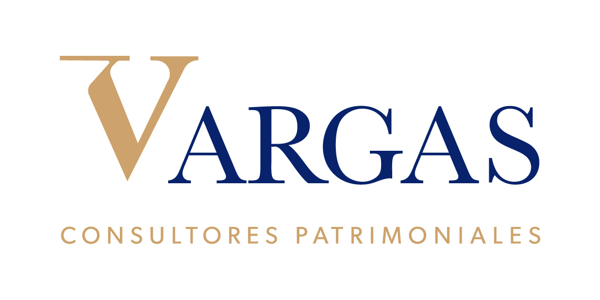 Logo Vargas Consultores