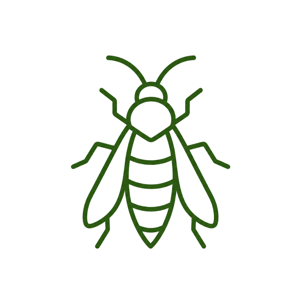 Tratamento profissional para eliminação de vespas e ninhos de vespas