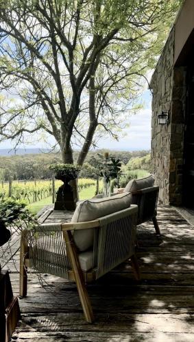 Vineyard landscape
