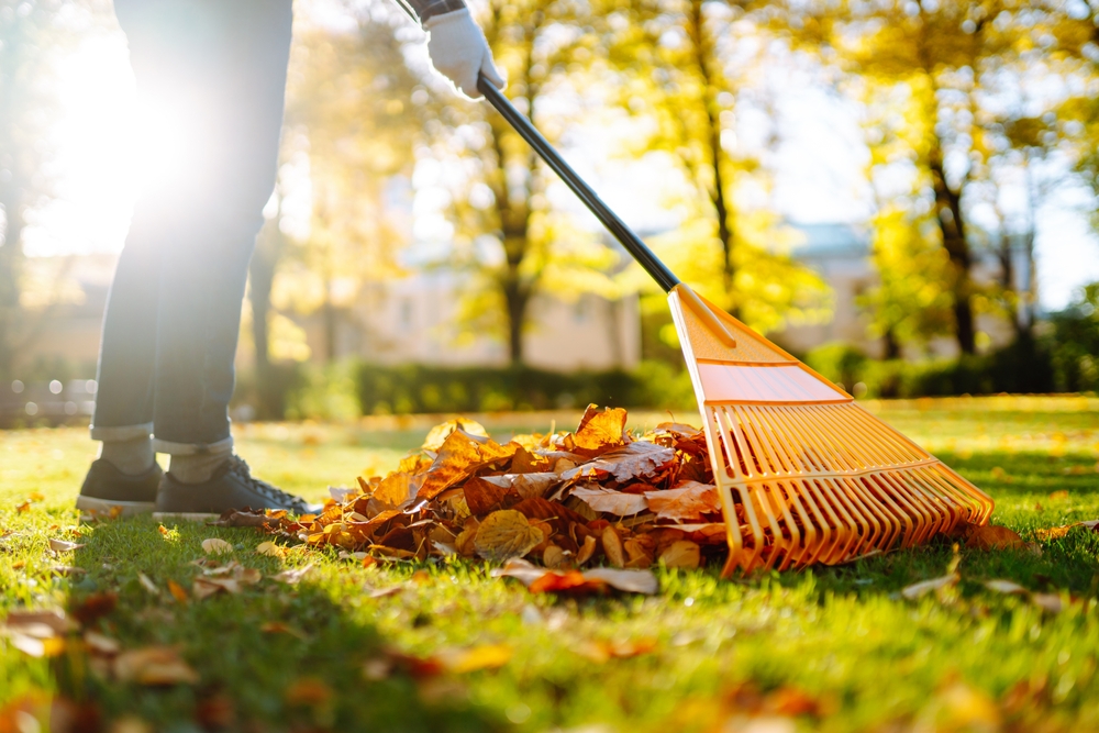 spring lawn care spring lawn care