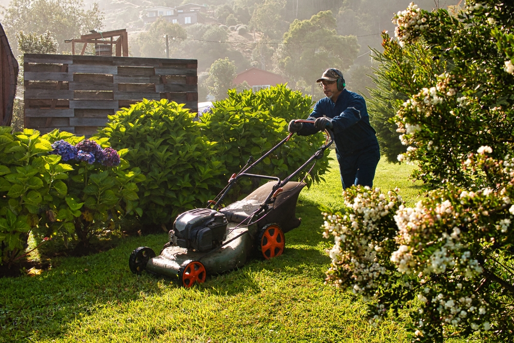 spring lawn care spring lawn care