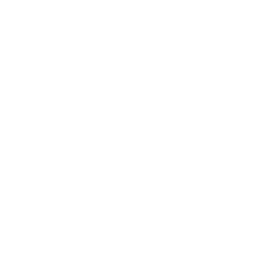 American Dream Team