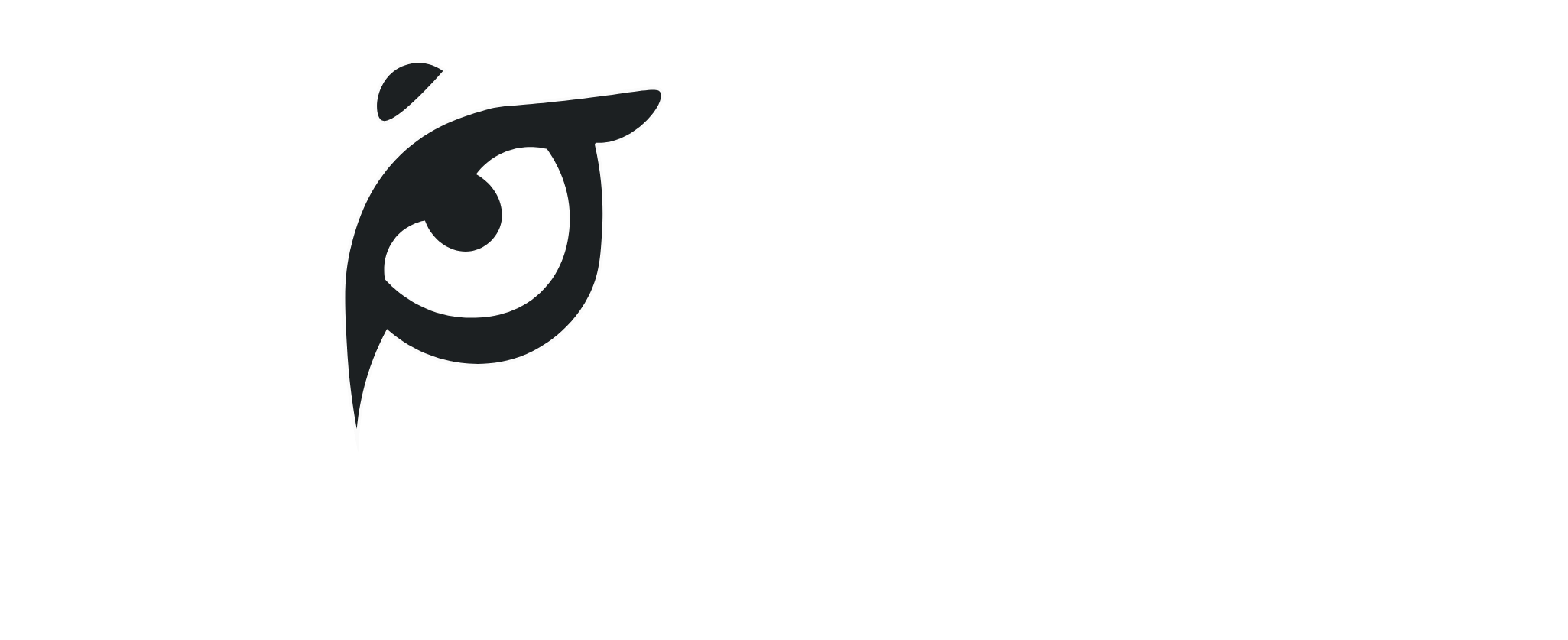 Visit Congo