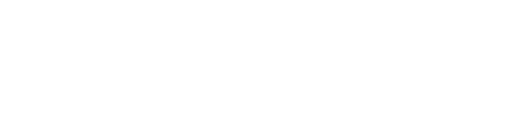 Orion AI appointment setter