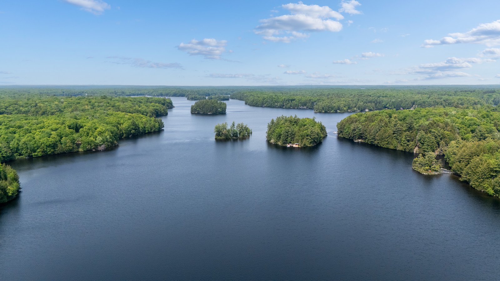 Lake views across wooded islands