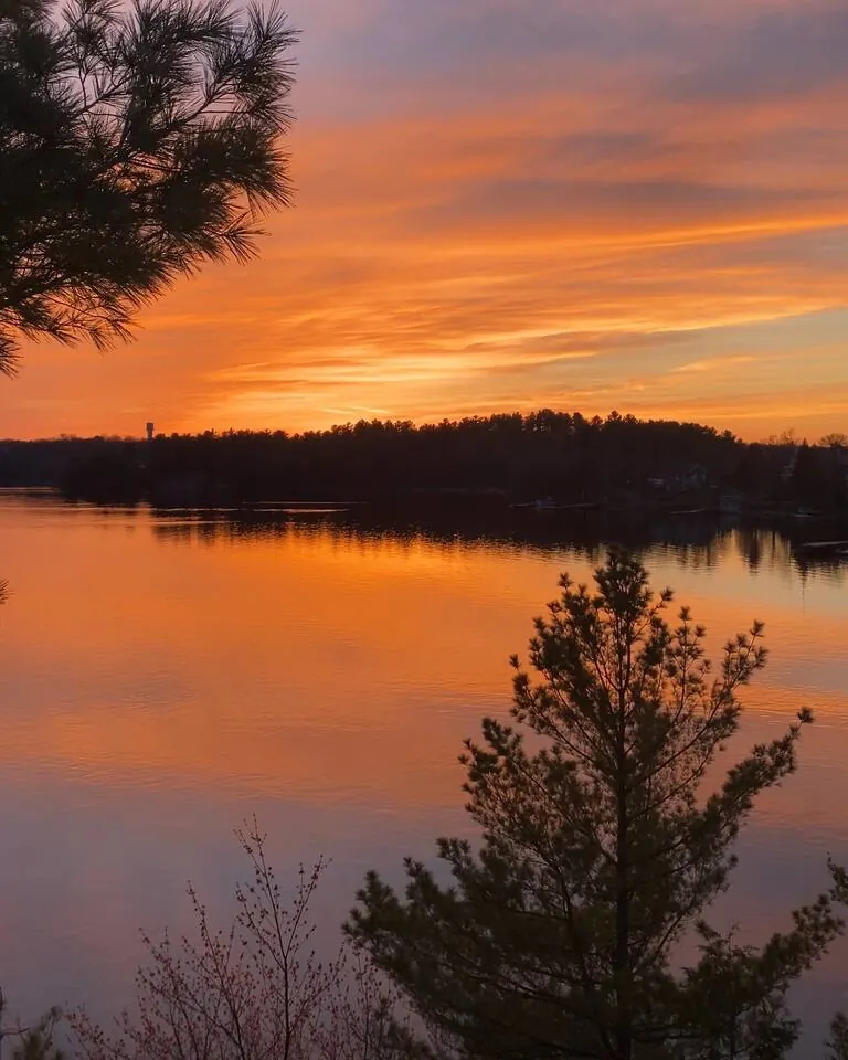 Orange sunset over the water and a pine silhouette at Hemlock Hideaway