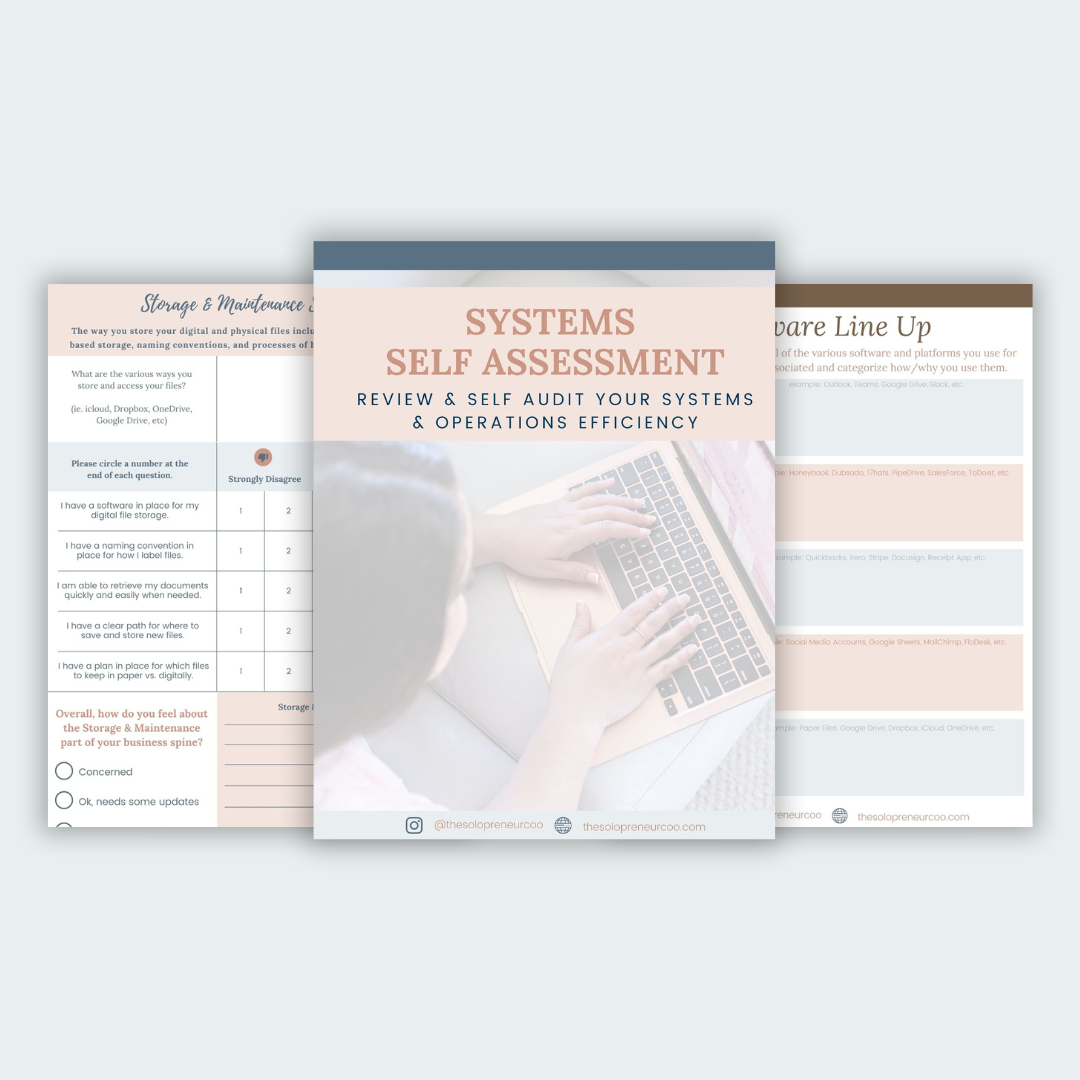 The Solopreneur Self-Audit Workbook cover