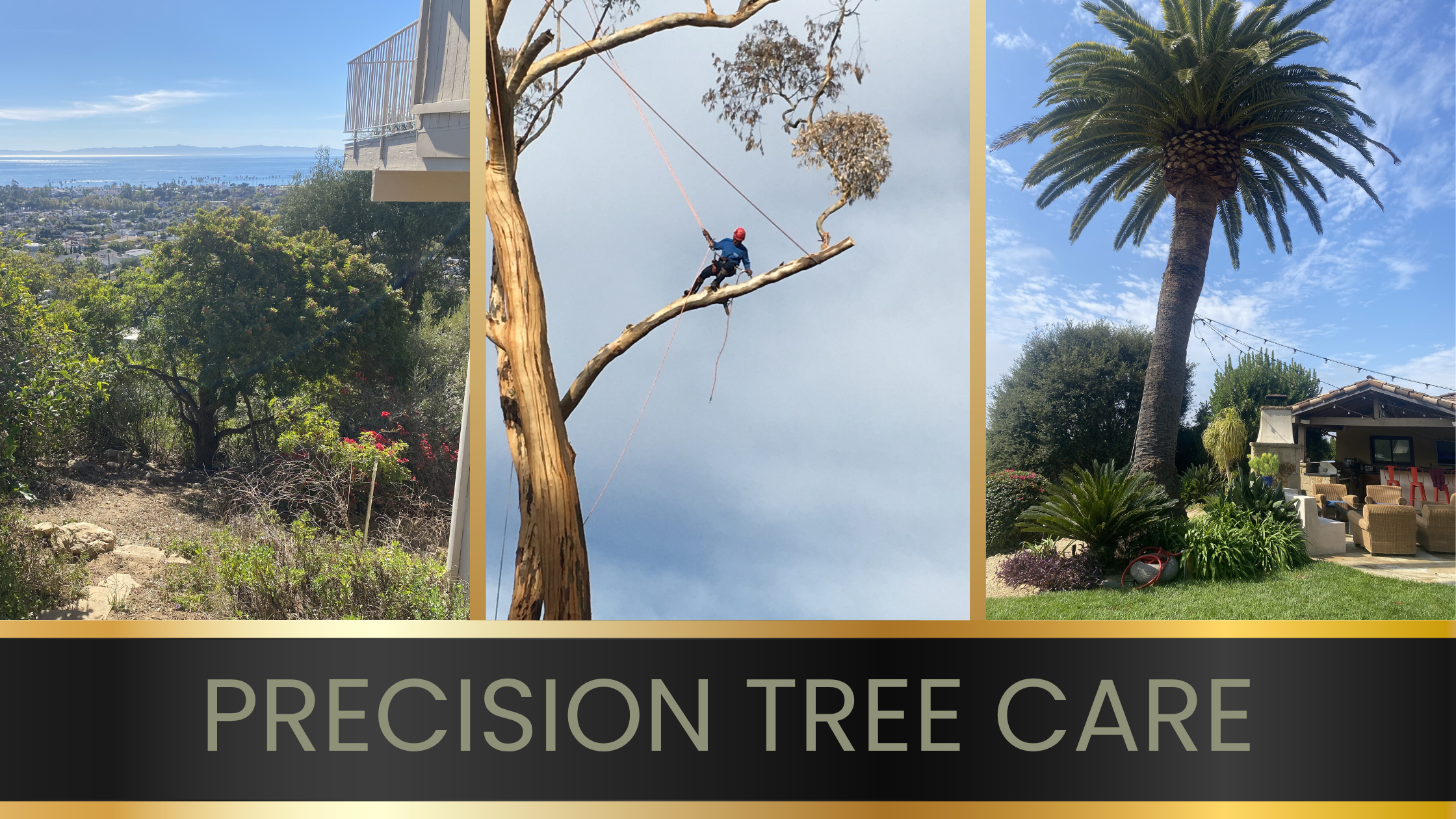 Precision tree care in a high-end Santa Barbara landscape