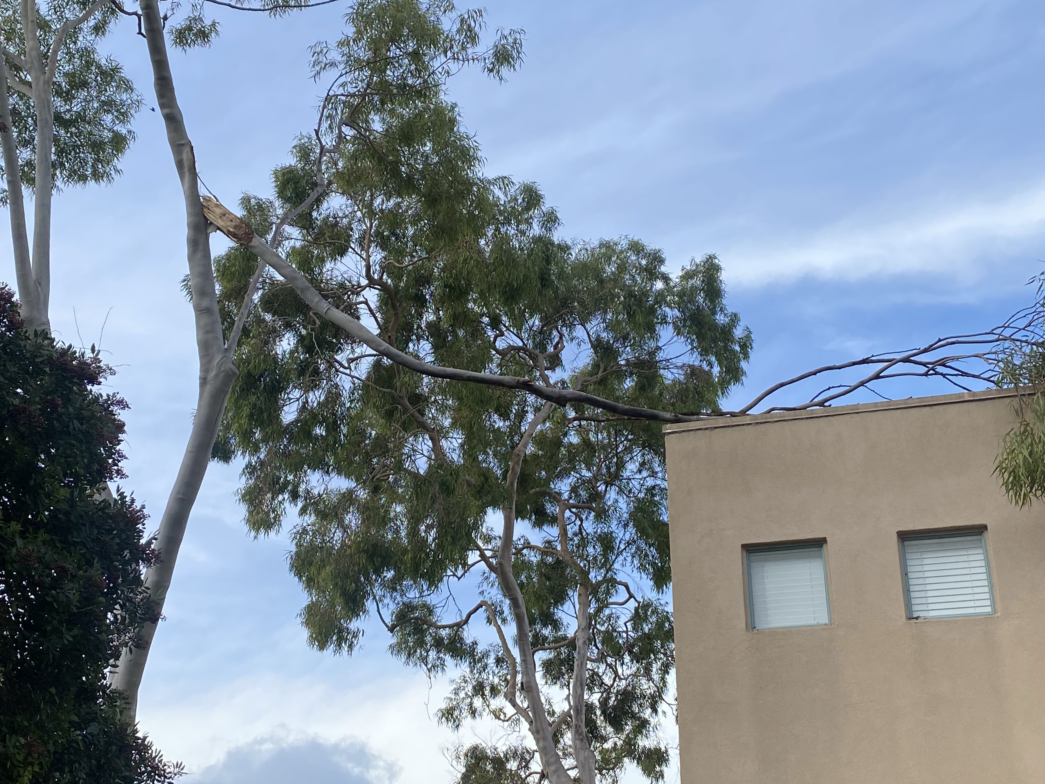 Hazardous limb resting on a building
