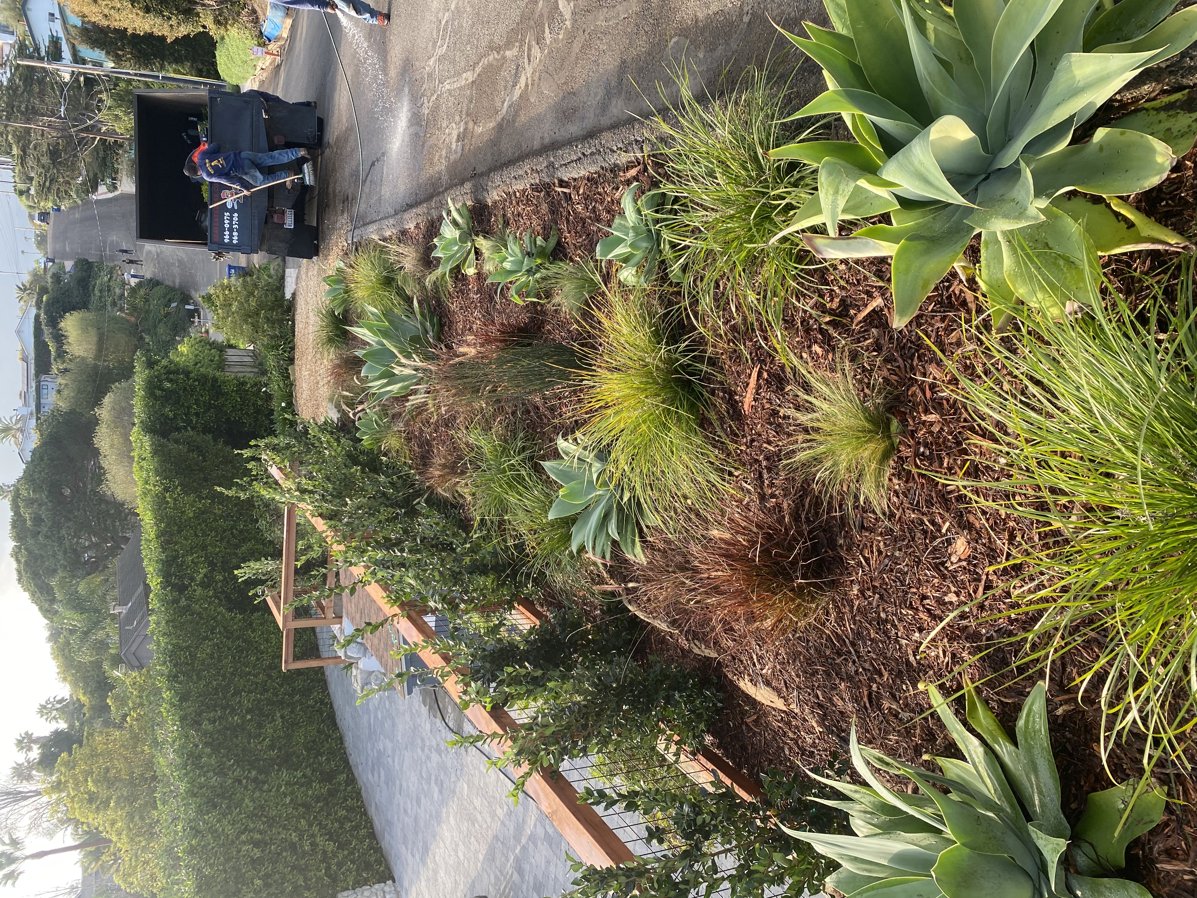 Finished landscape design and planting