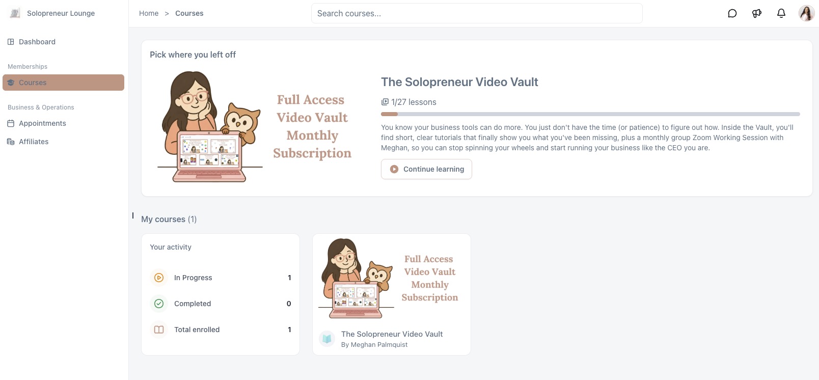 Solopreneur Video Vault