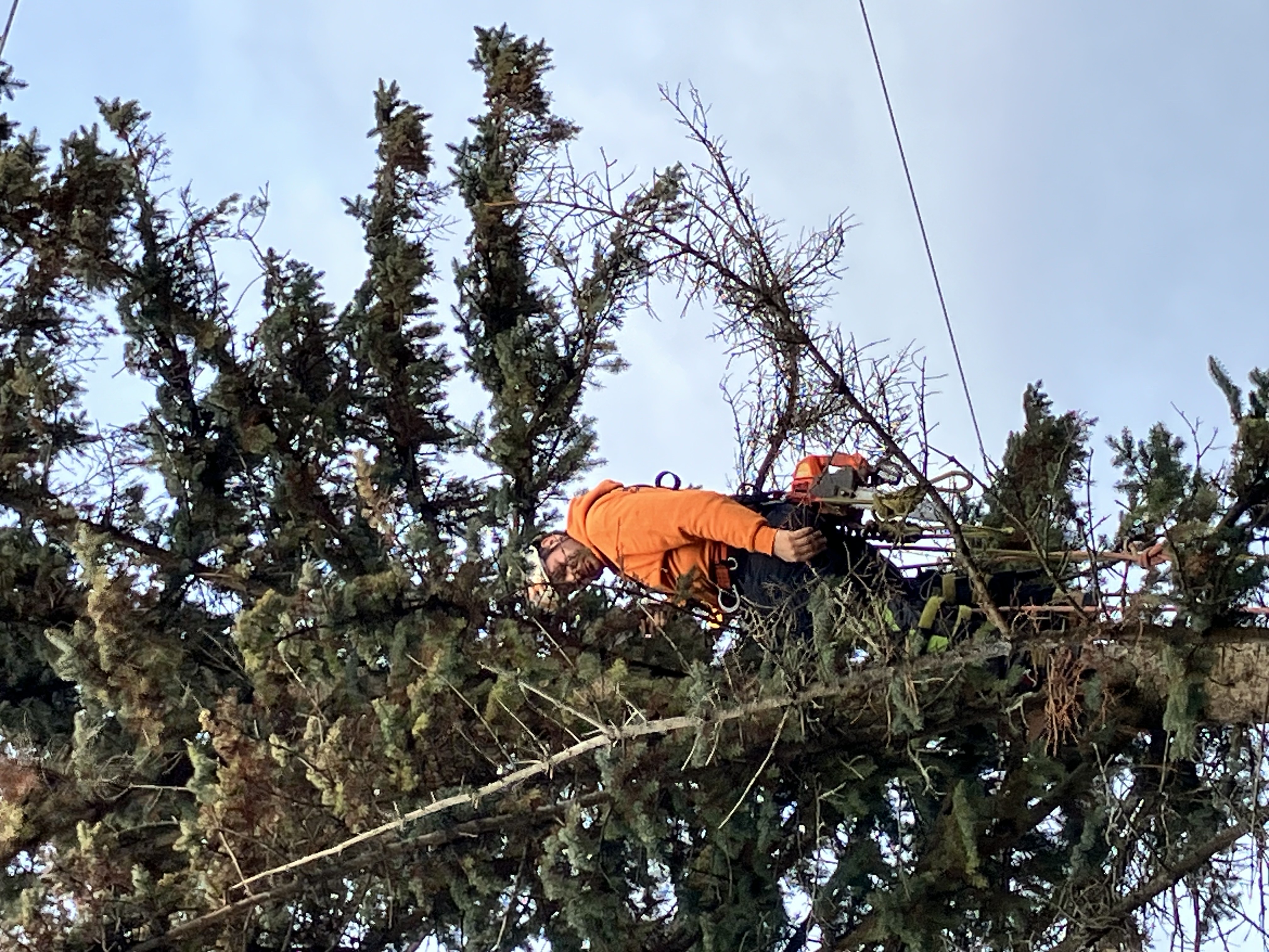 Gallant Services completing professional outdoor work