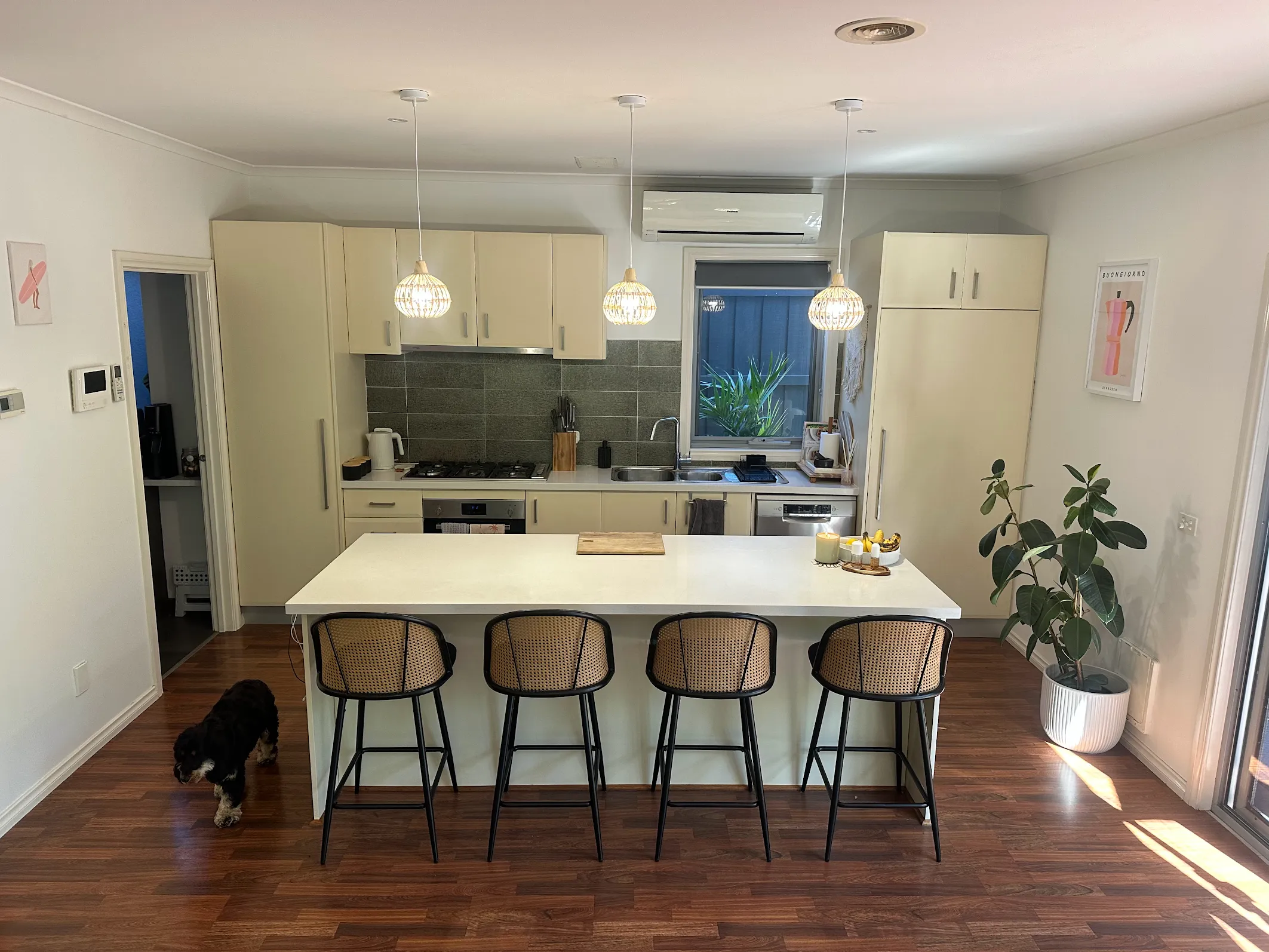 Bree Jade kitchen before