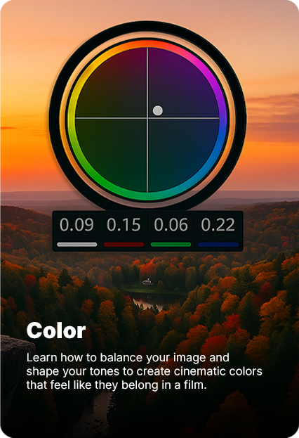 Color
