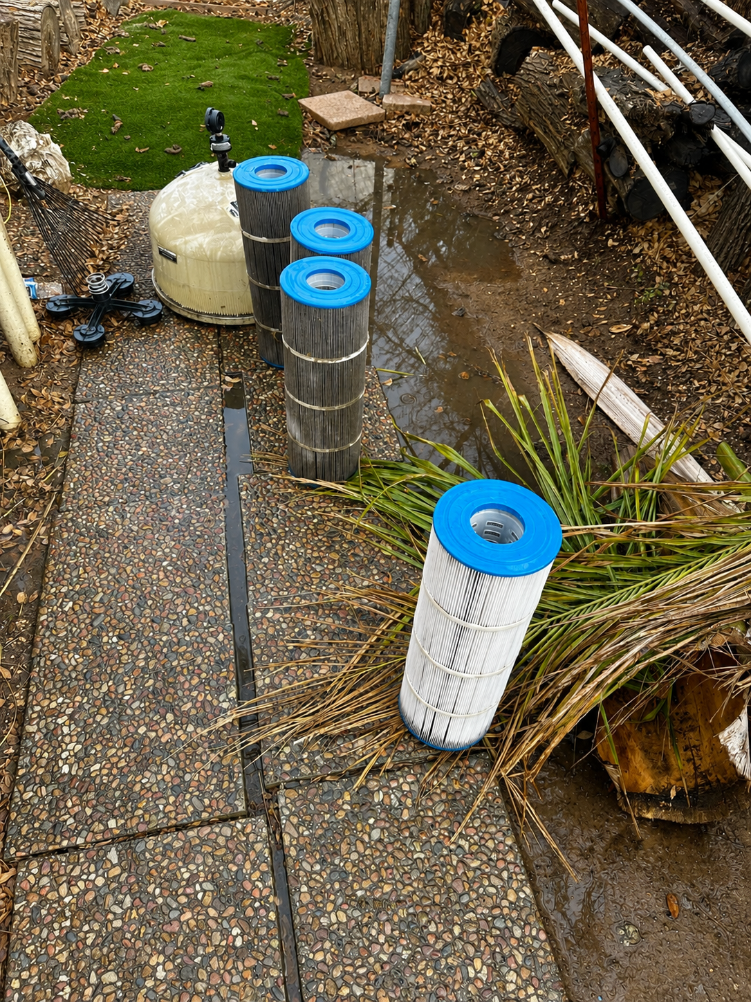 Pool filter cleaning service in Riverside equipment pad
