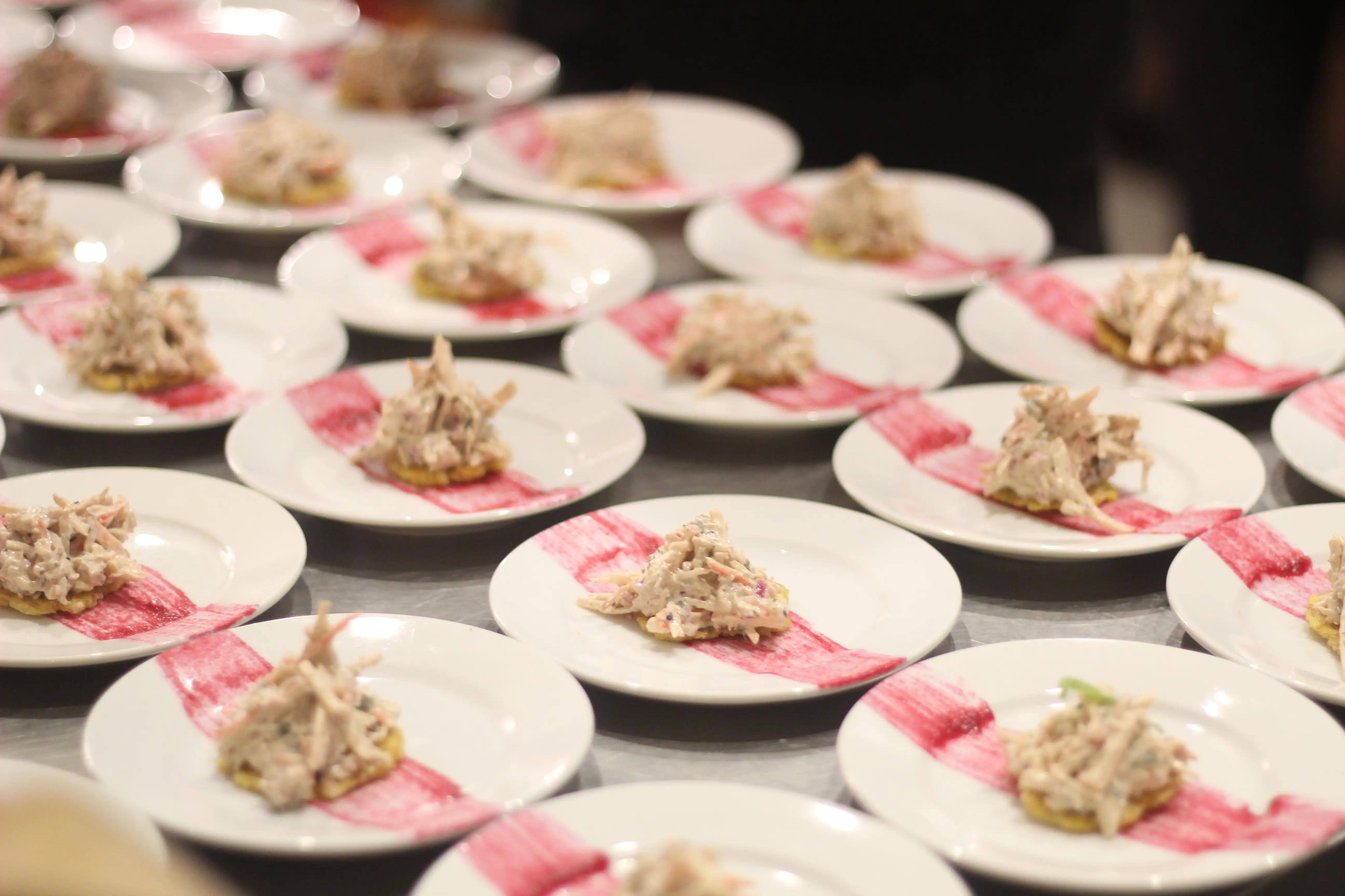 Platos corporativos Volcano