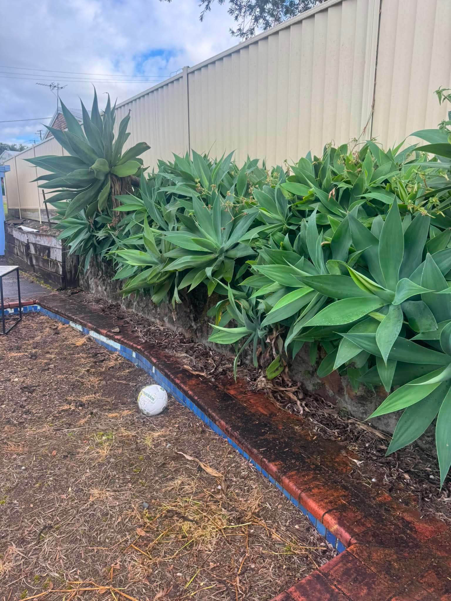 ZOLB pressure washing — previous work