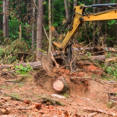 land management in Polk County