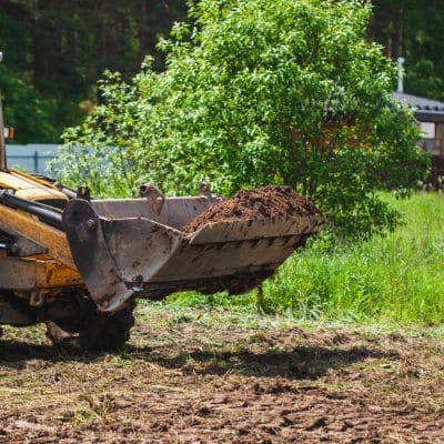 Stump grinding in Hillsborough County