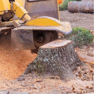 Land clearing in Polk County