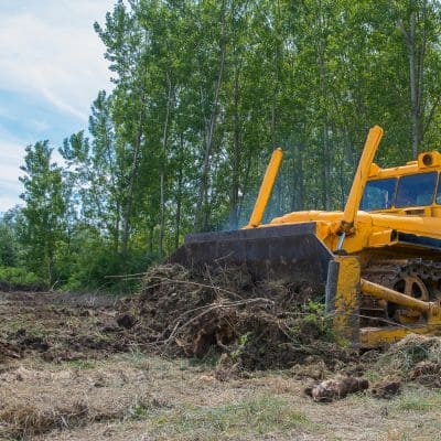 Land clearing in Hillsborough County