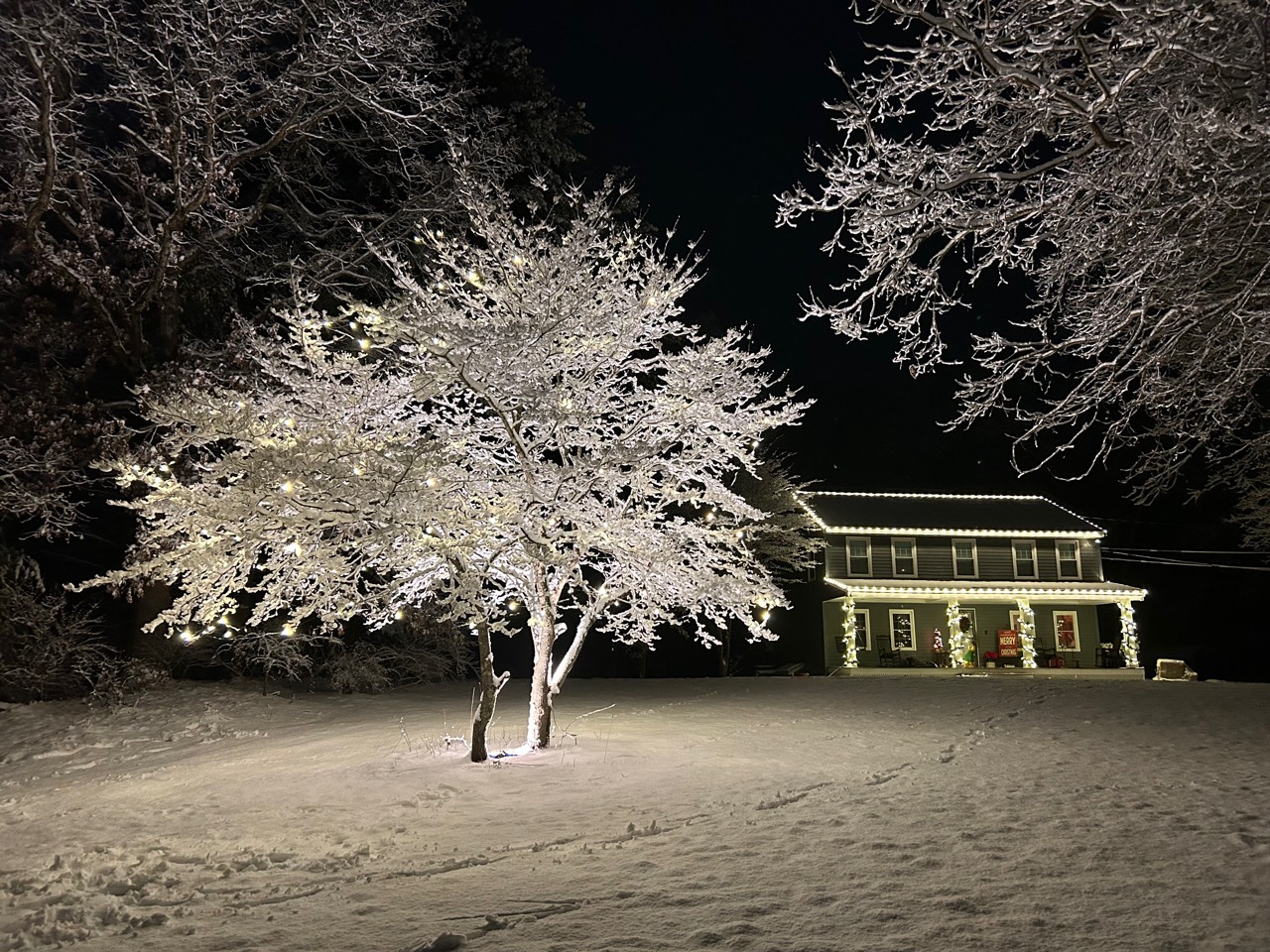 Warm-white tree and roofline lighting on a Southern New Hampshire home in snow