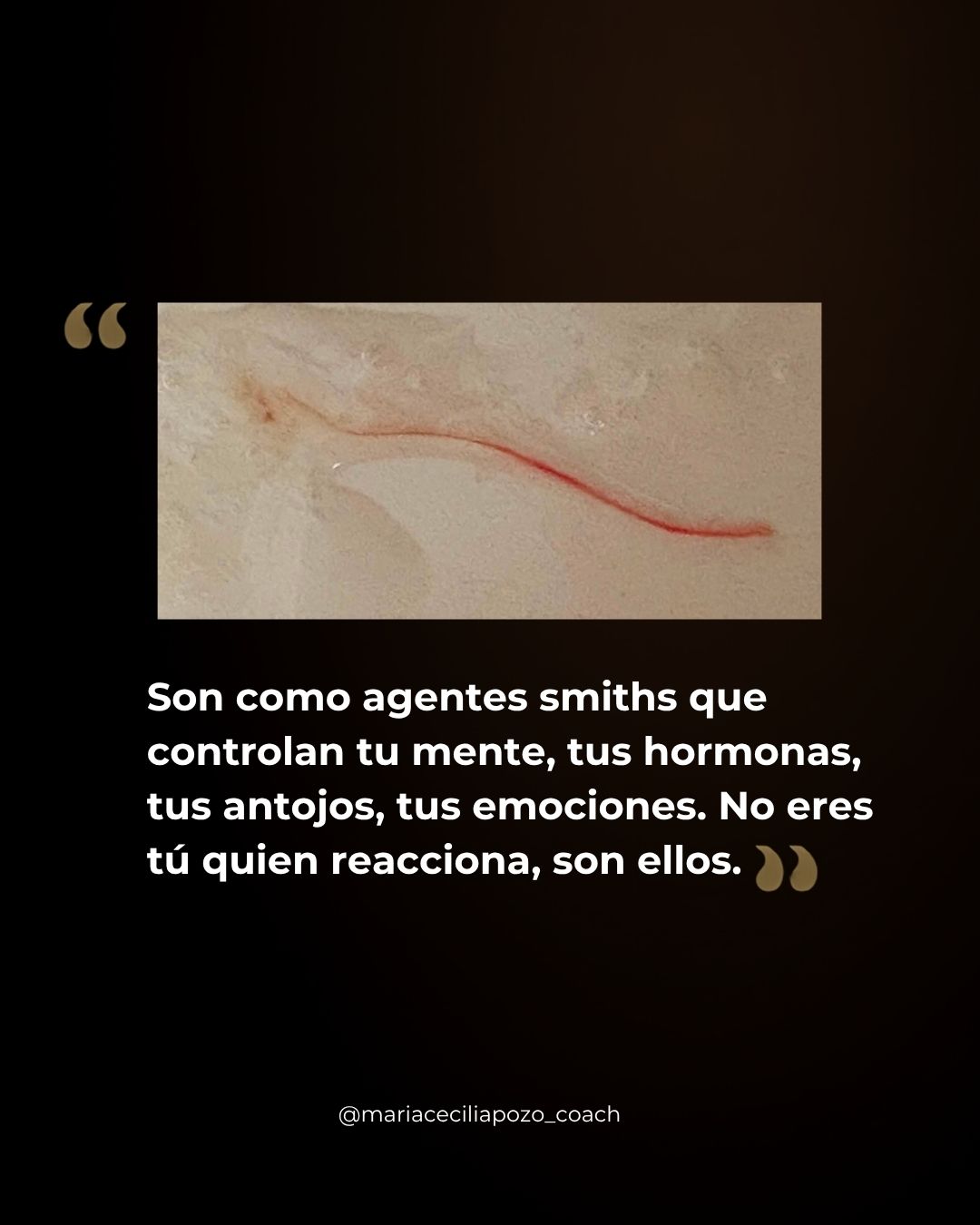 Testimonio de una mujer en proceso