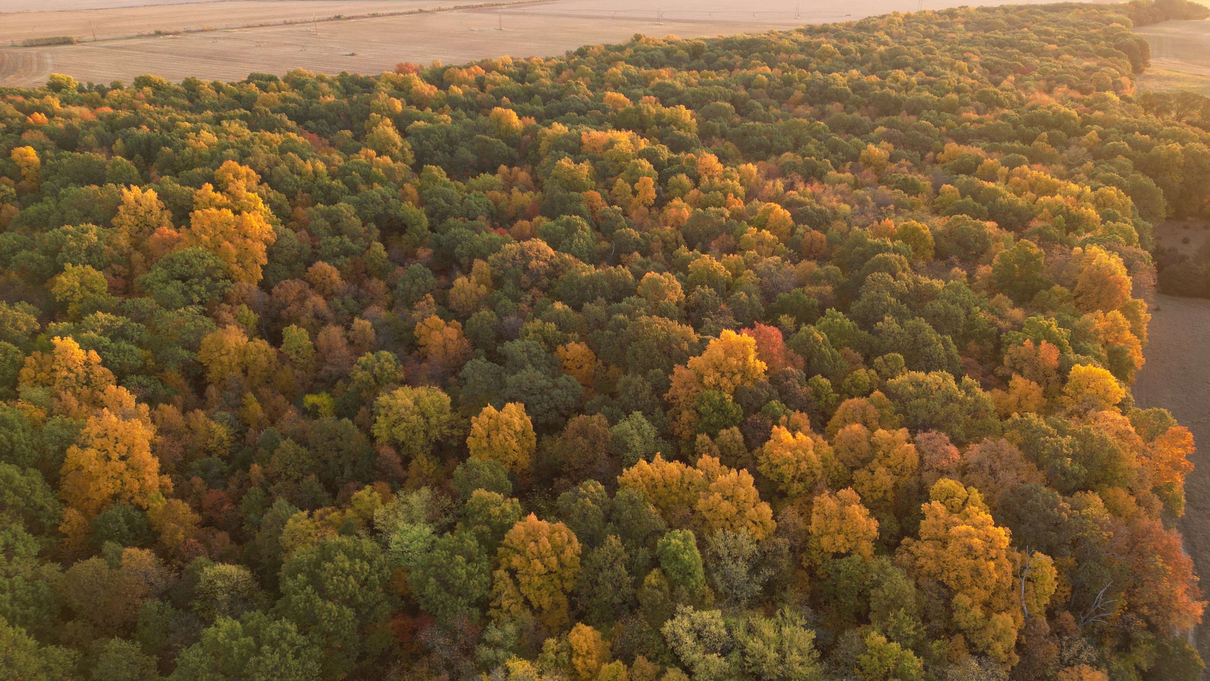 vacant land property being evaluated for building a home