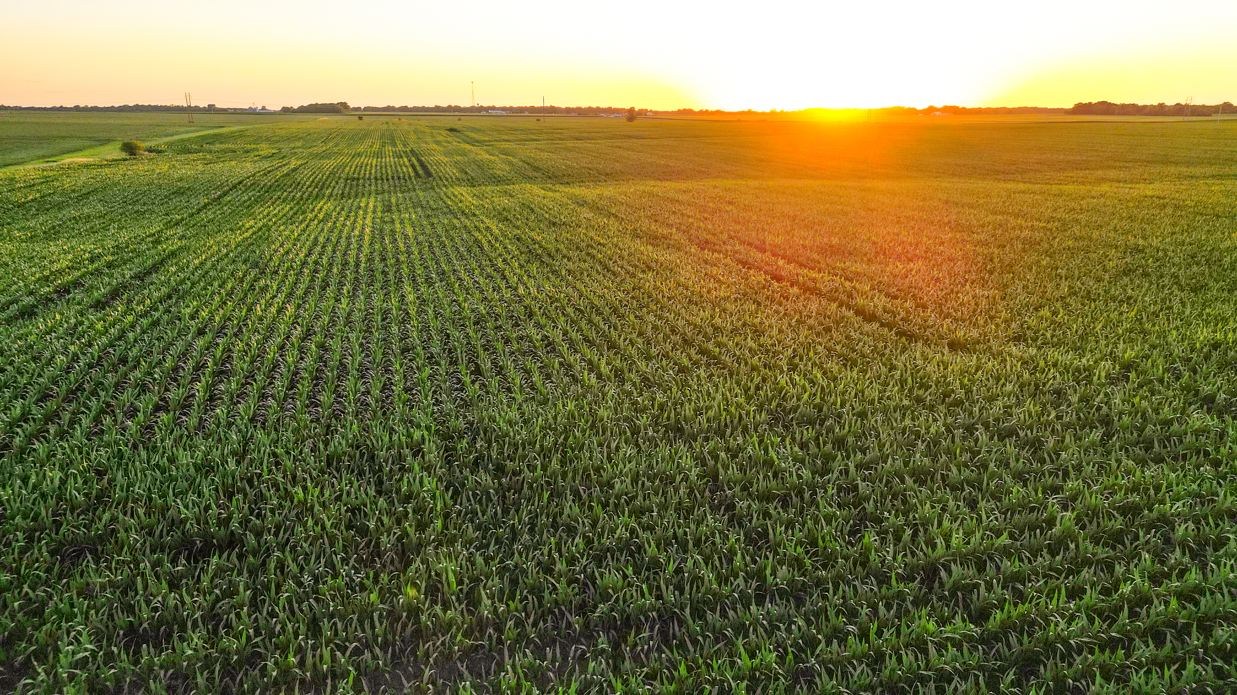 Illinois farmland representing decisions around selling agricultural land and current market conditions