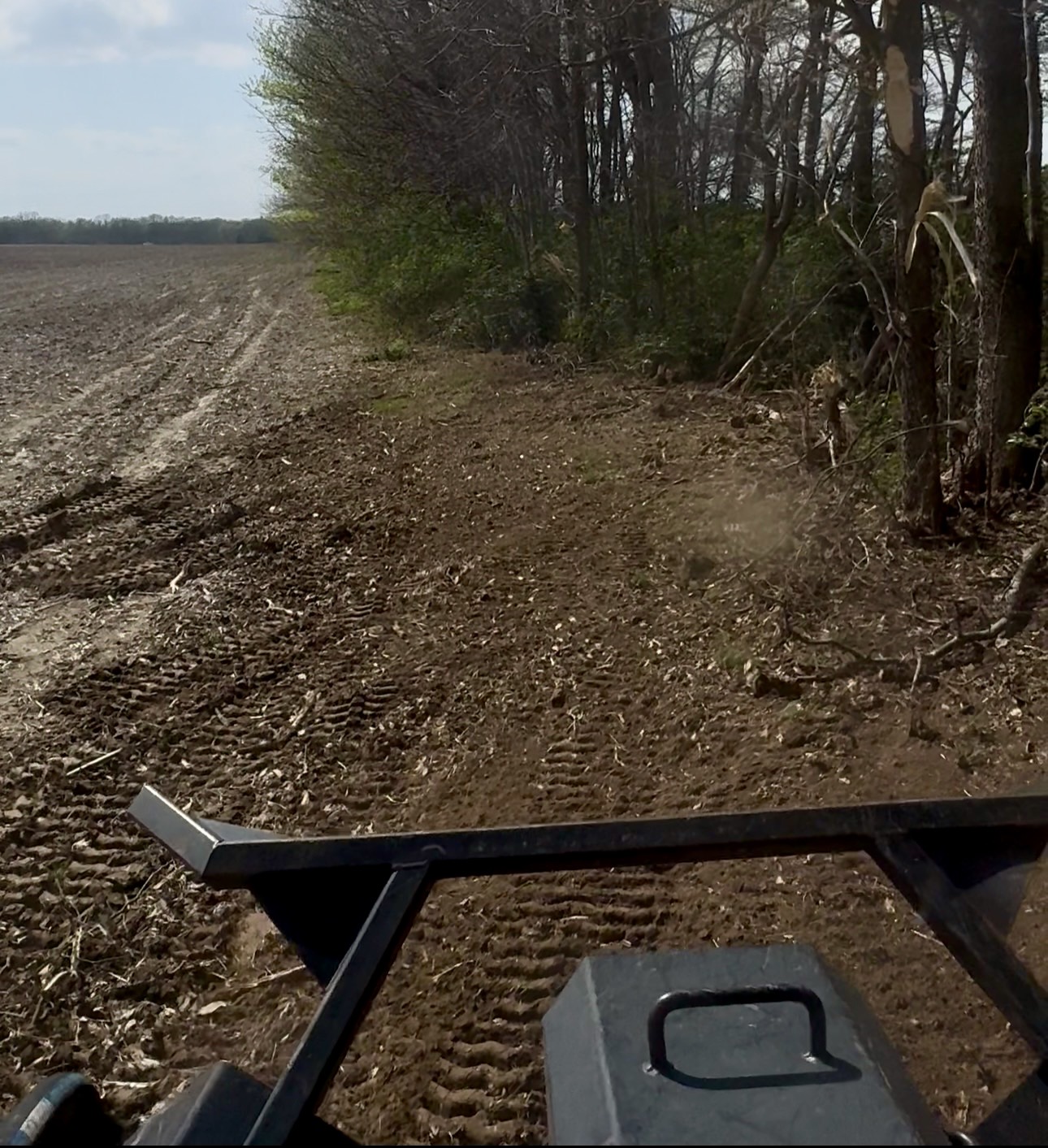Timberline encroachment on Illinois farm field edge — forestry mulcher clearing invasive species and brush — Archer Realty