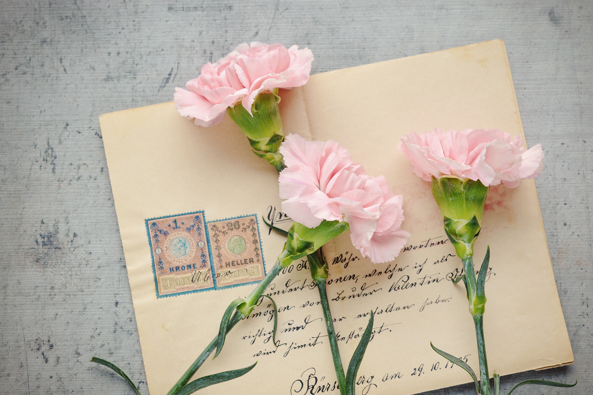 Image by Petra from Pixabay Image by Petra from Pixabay