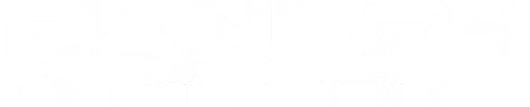 Danley Solutions Logo