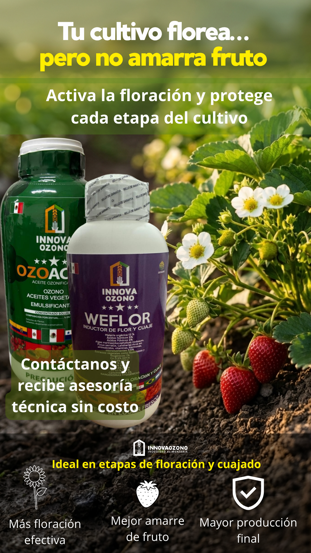 Testimonio Weflor — resultados