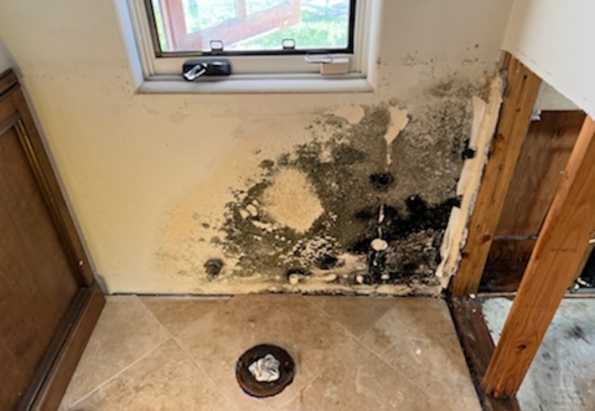 SunCoast Restoration technician performing mold remediation services