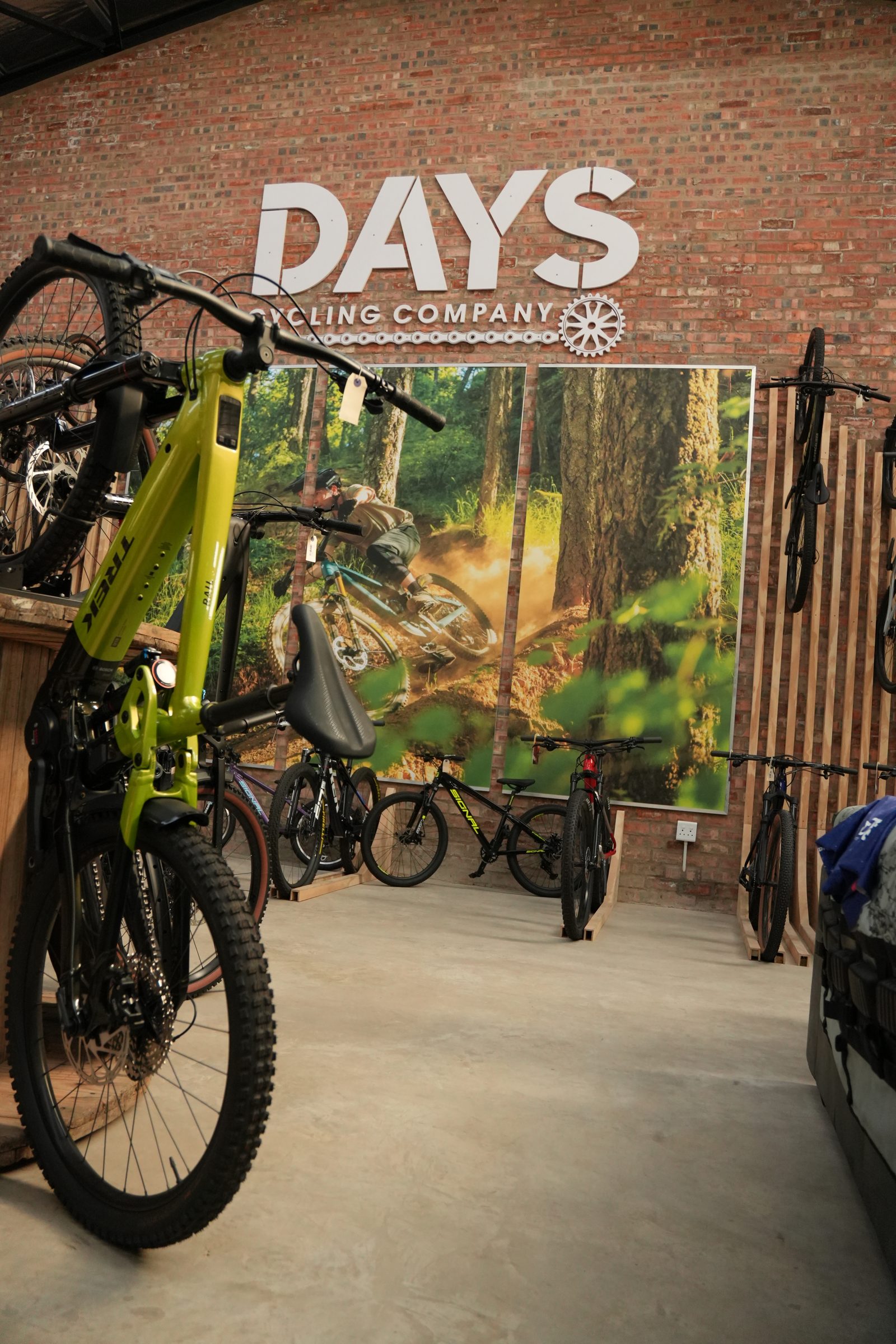 E-BIKES