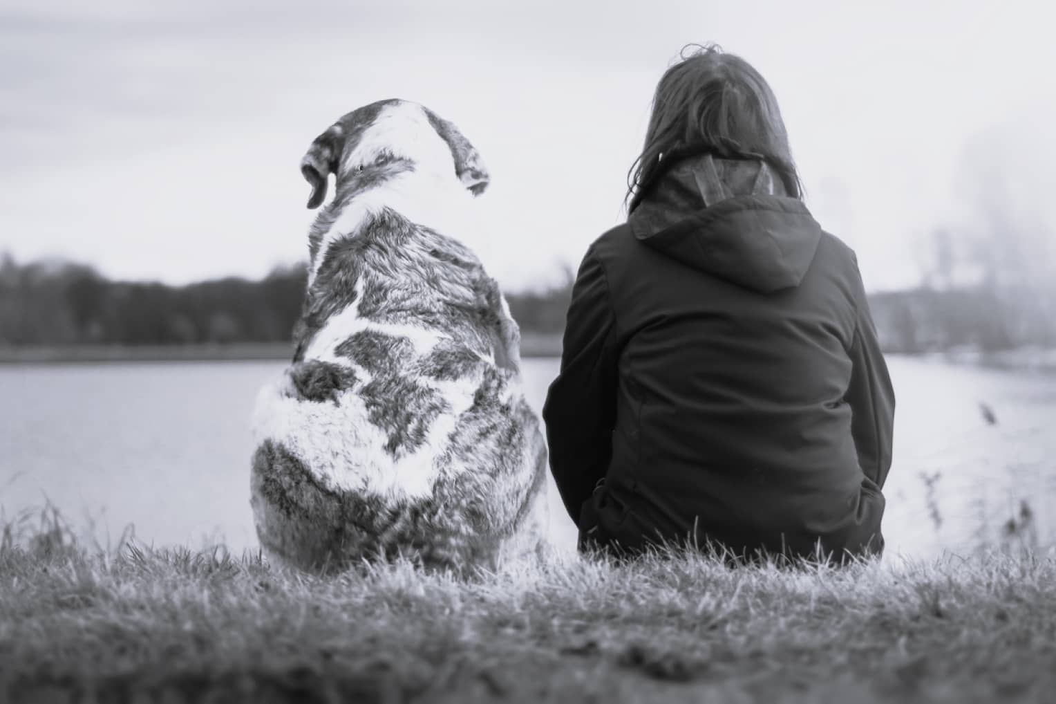 Trauma Solutions Program