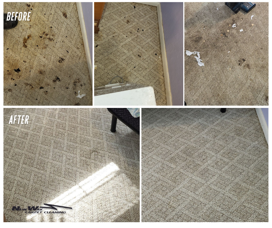 before and after photos of dirty to clean carpet from New way carpet cleaning before and after photos of dirty to clean carpet from New way carpet cleaning