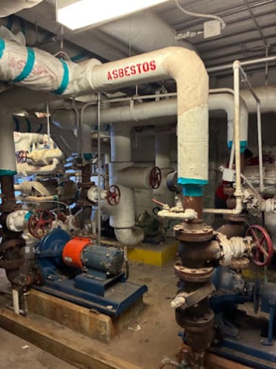 Mold Remediation in Marrero