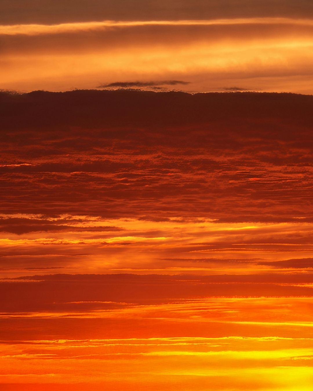 Reconnecting With Yourself: A Gentle Guide to Emotional Self-Healing and Inner Balance