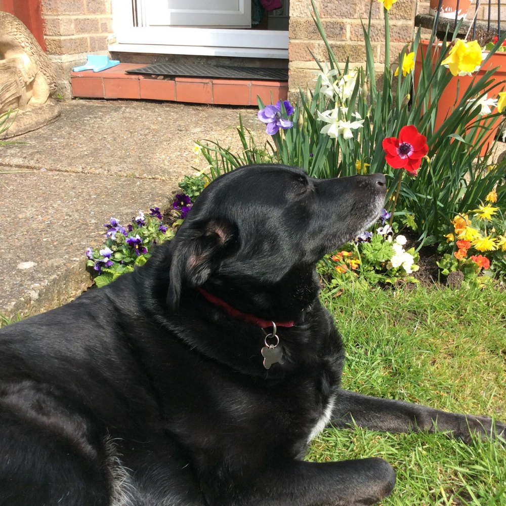 Something to consider when you become a tutor