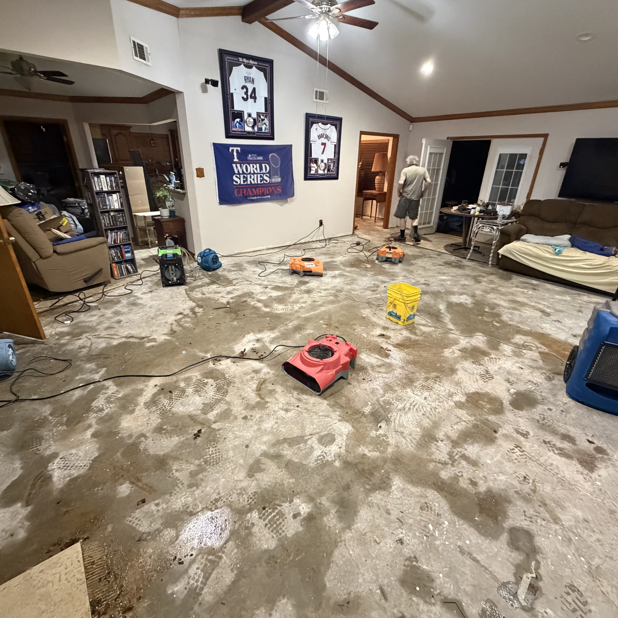 Mold Remediation Project