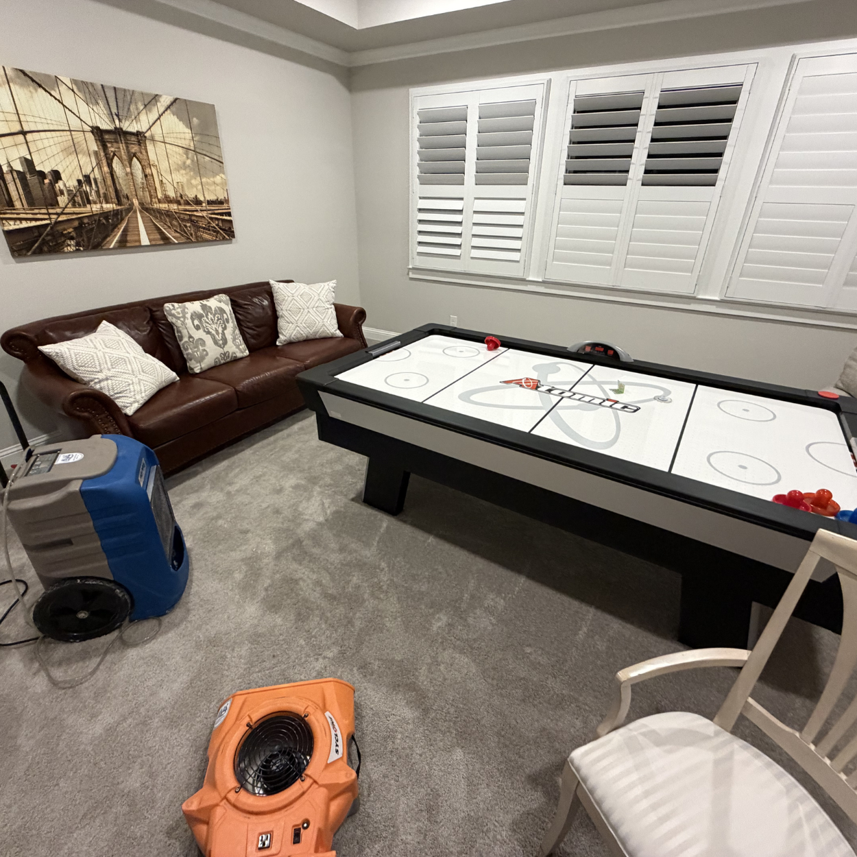 Mold remediation project