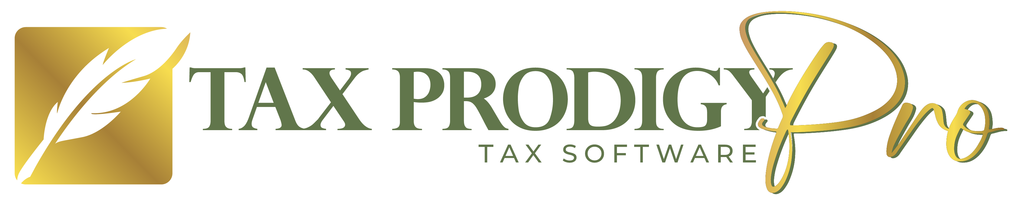 Tax Prodigy Pro