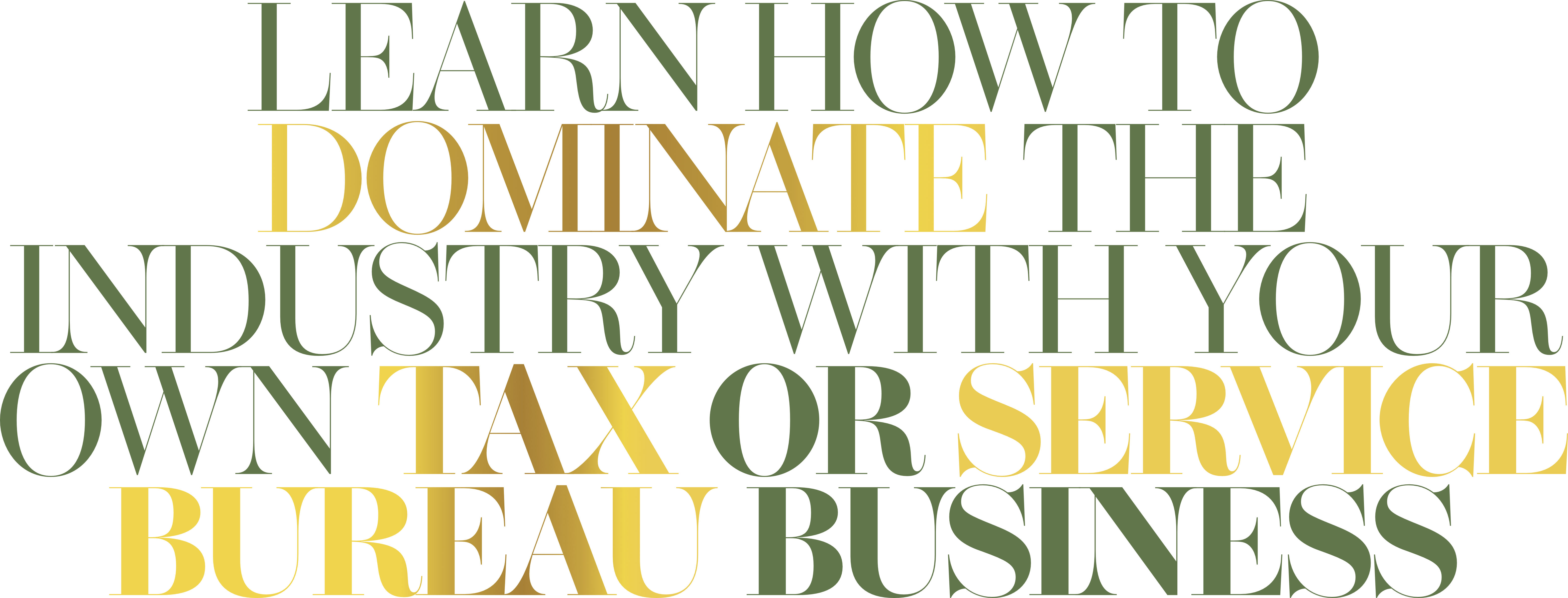 Learn Hw to Dominate the Industry with your own tax or service bureau business